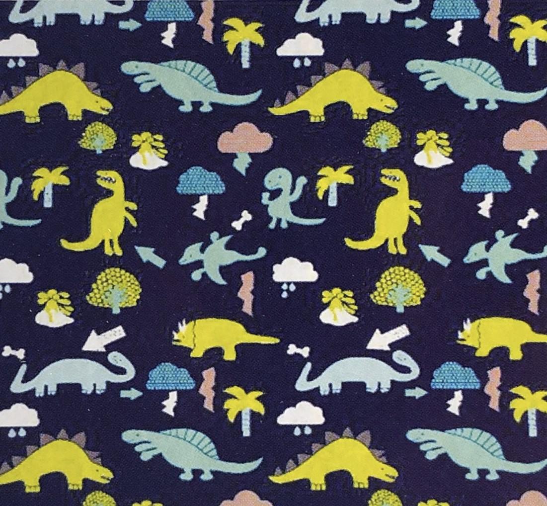 Dinosaur Baby Blanket